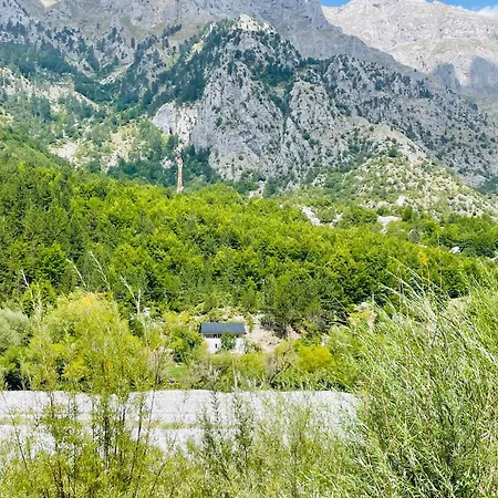 Guests House, Artani