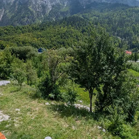 Гостевой дом Guests House, Artani 3*