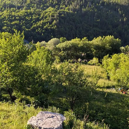 Guests House, Artani Гостевой дом